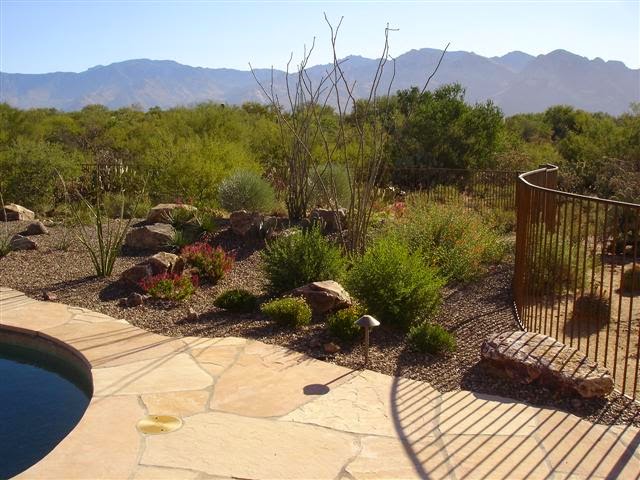 Landscape Ideas - Trincherapoetica: Tucson Landscape Design Be sure to set up a thorough plan of action before you begin landscaping. It's really a good idea to make a drawing for the landscaping project on the ... - Landscape Ideas - Trincherapoetica: Tucson Landscape Design
