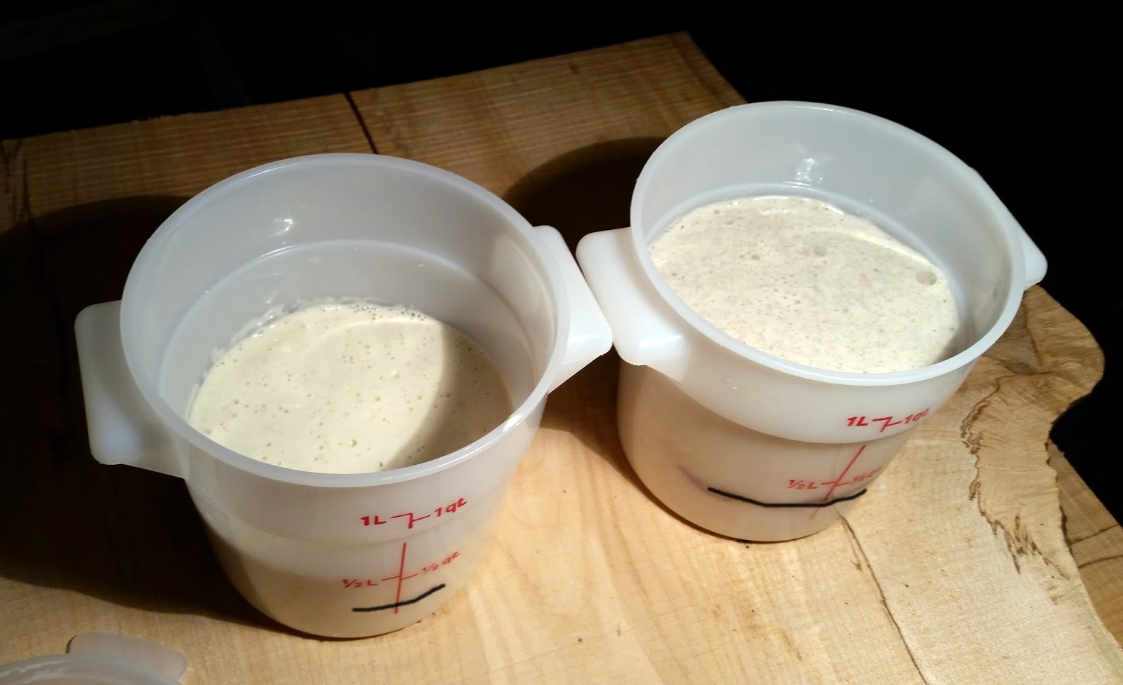 Thibeault's Table Wild Yeast Sourdough Bread