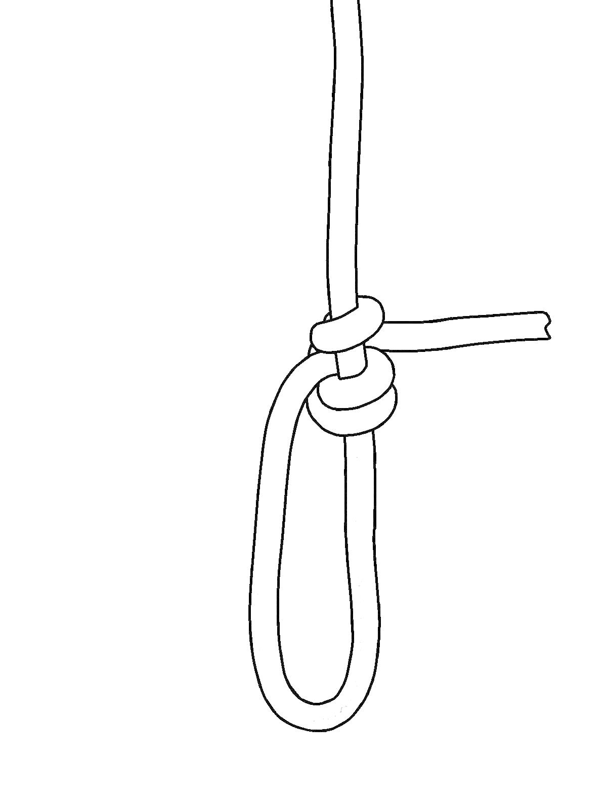 New Approaches with Knot Tying: Use the Blakes Hitch Instead of the Taut- line