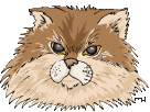 Animation Bundle: Animated Cats Jumping Playing and Running Around See