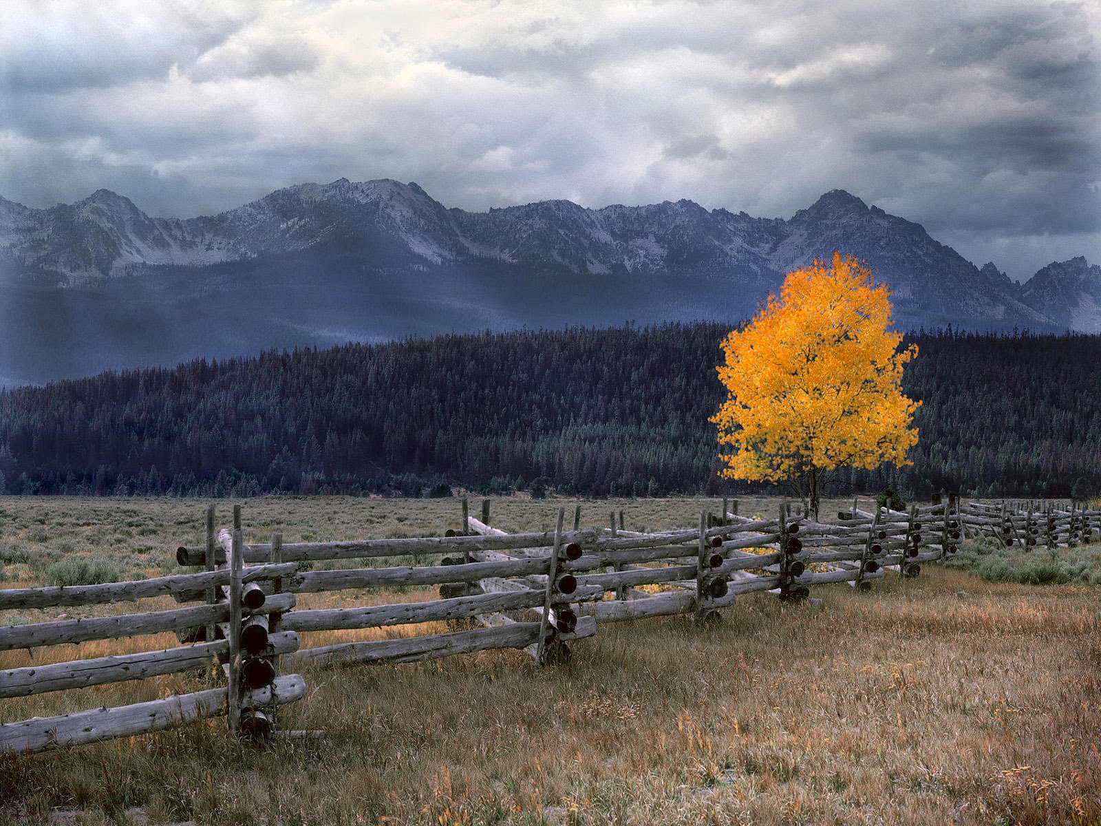 Travel Trip Journey The Sawtooth Valley United States