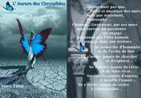 L'Aurore des Chrysalides