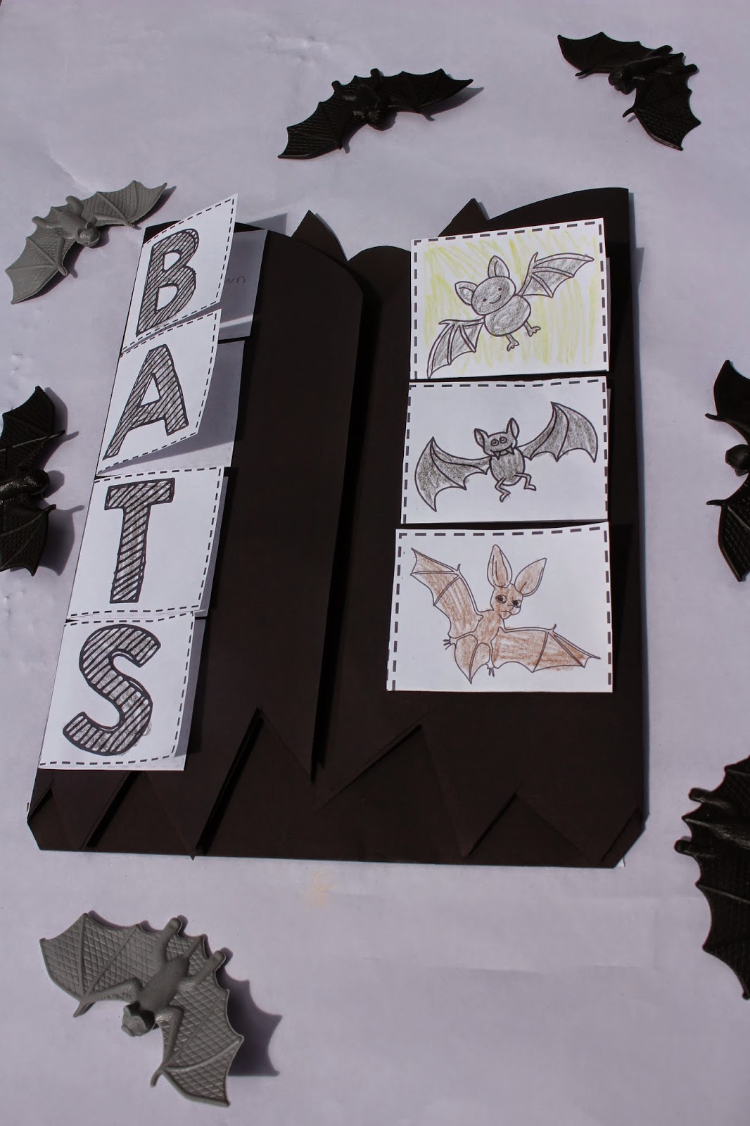 Tunstall's Teaching Tidbits Bat Science!