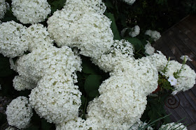 A Smile Style August 2013