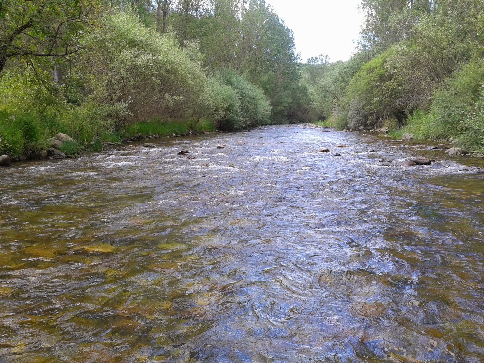 RIO CURUEÑO A SU PASO POR SOPEÑA DEL CURUEÑO.