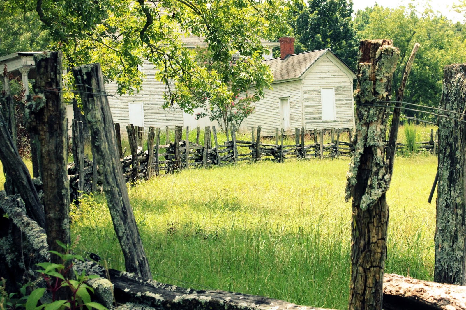Italian Girl in Rural Road Trip