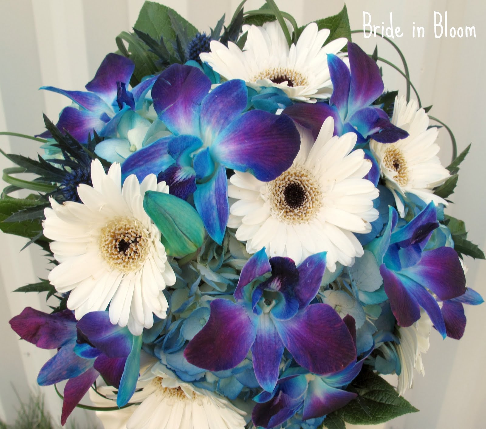 Bride in Bloom Blue orchid bridal bouquets