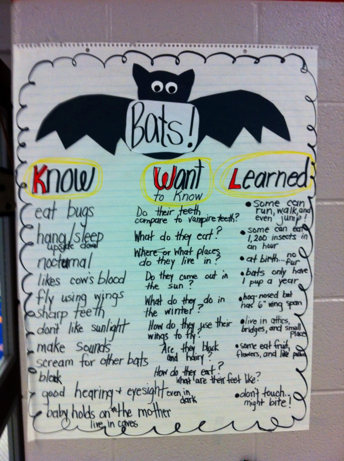 2nd Grade Rocks! October 2011