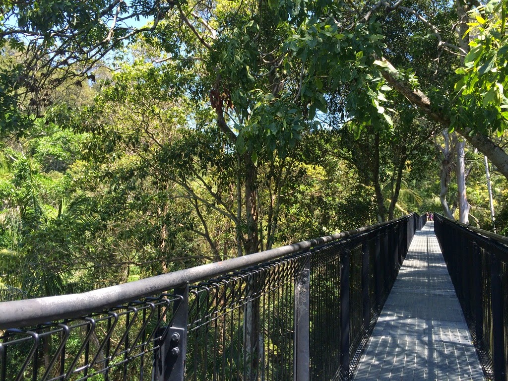 Travelholic Skywalk Tamborine Mountain, Gold Coast.