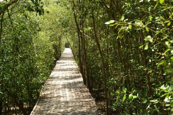 Hutan mangrove surabaya Menelusuri tempat wisata indonesia