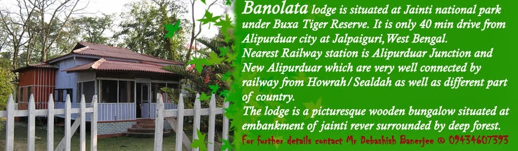 Banolata Lodge at Jainti