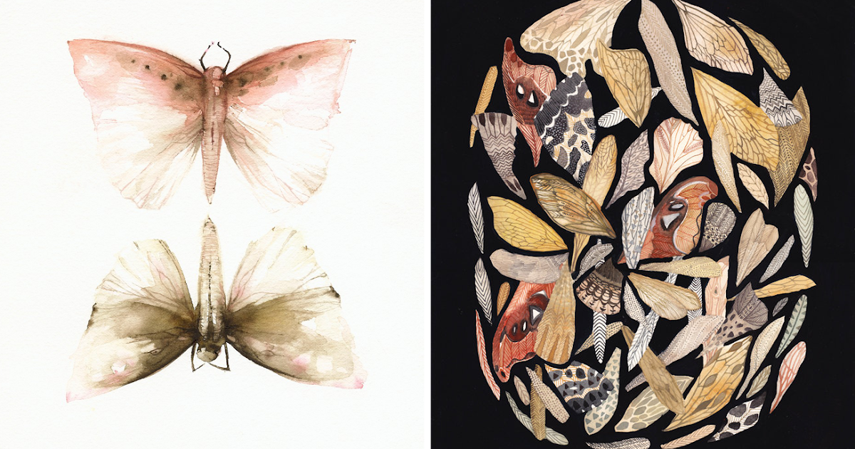 moth by amber mcbride moth by amber mcbride