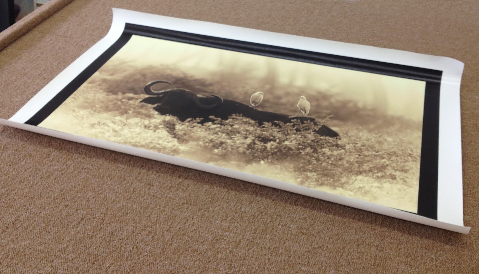 Denver Giclée Broomfield Photographer KC Balsley Chooses Van Gogh