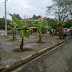 Siembran matas de plátanos en parquecito de la calle Mexico, demandan reparación