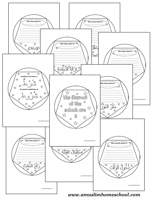 Dodecahedron book report