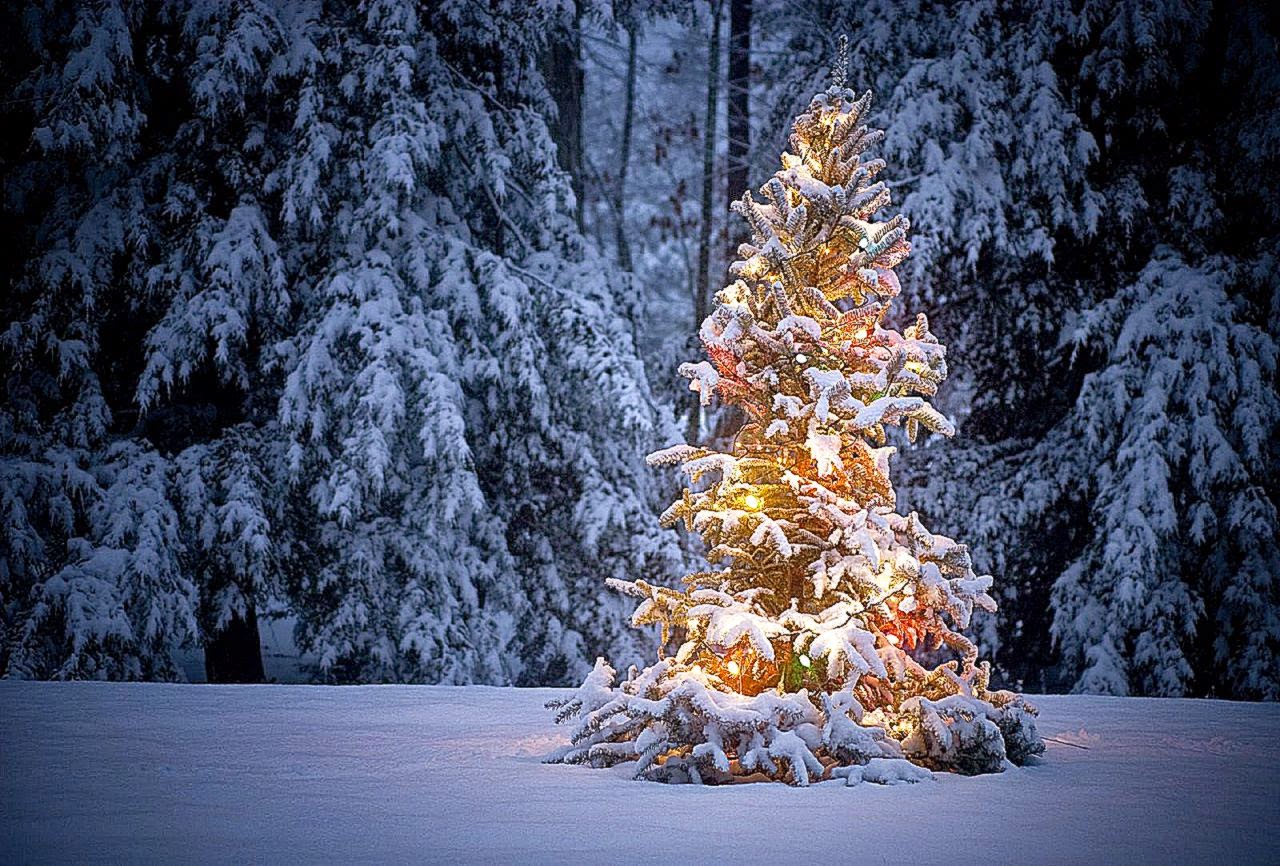 December Signpost Newsletter – avaliable now Tasmanian Deaf Society December Signpost Newsletter – avaliable now Tasmanian Deaf Society