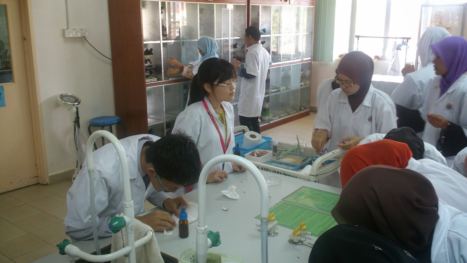 Plant histology study card answers image