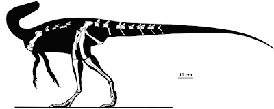 dinosaurios de america Guaibasaurus