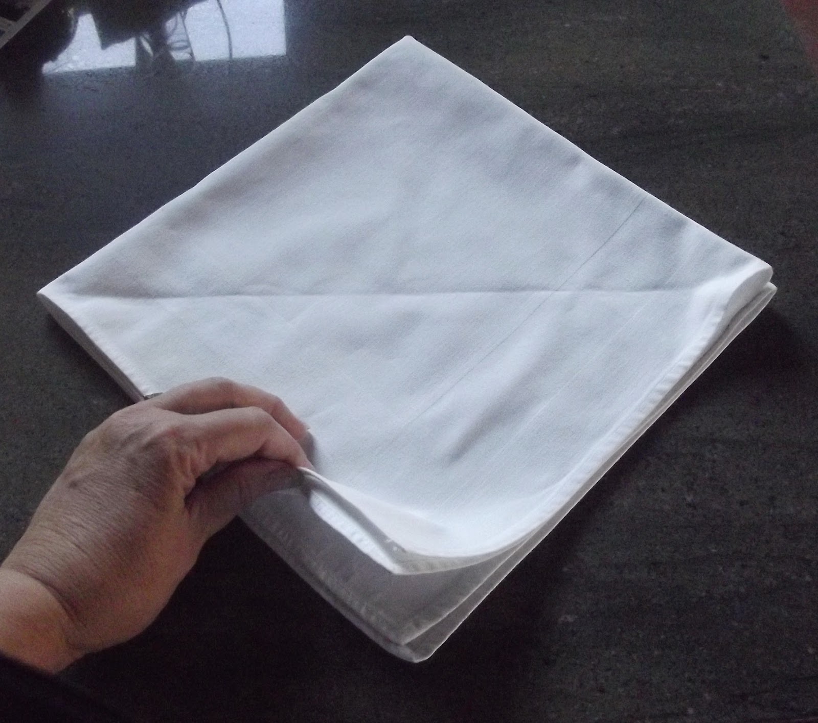 Spoon and Ink Napkin Folding and Other Obsessions