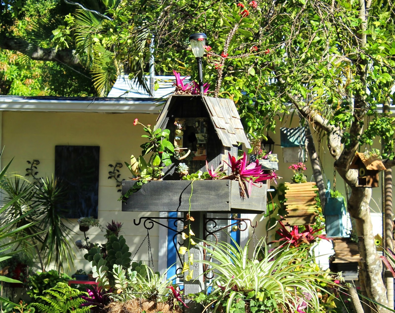 Punta Gorda Florida Daily Photo Bird House in a Tropical Garden Along