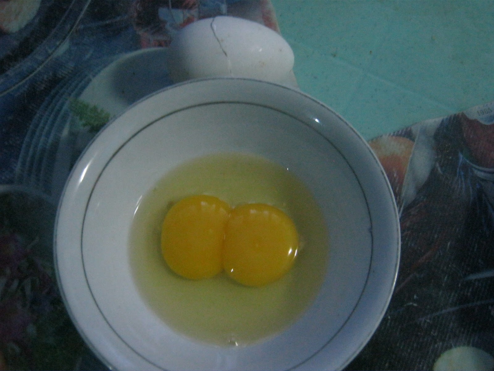 E2=Educational & Entertainment Hub Weird and Bizarre Eggs DoubleYolk