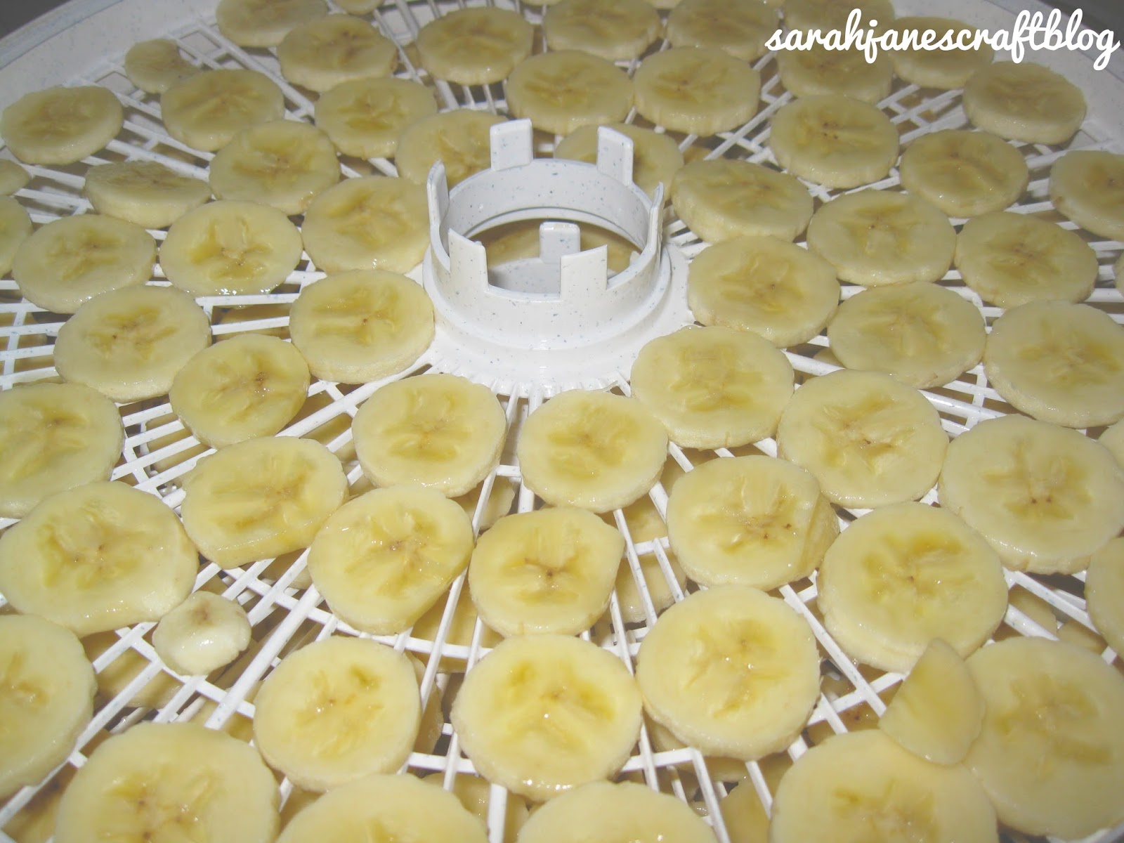 Sarah Jane's Craft Blog Adventures in Dehydrating Bananas
