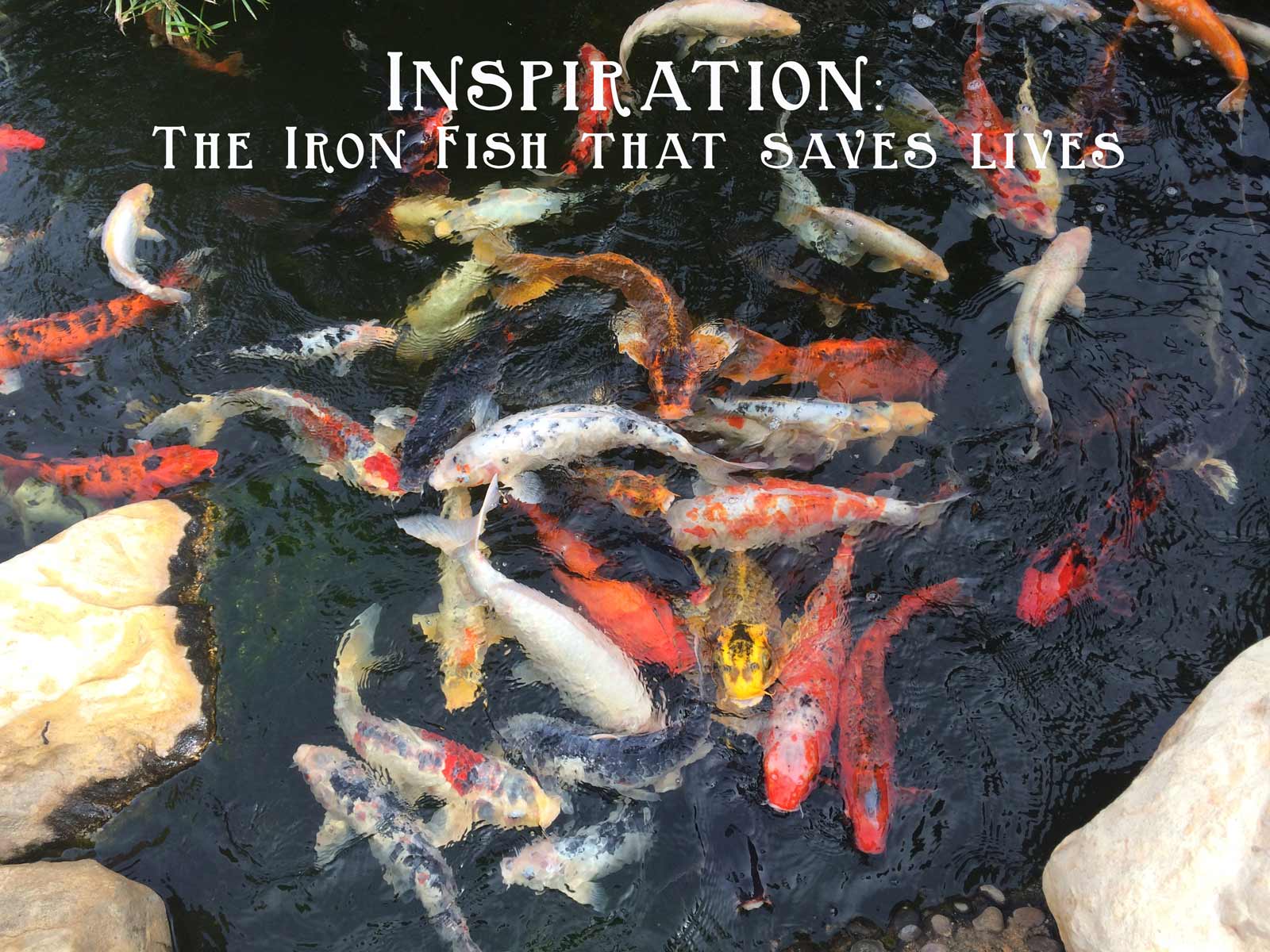 The Receptionist Inspiration! The iron fish that saves lives