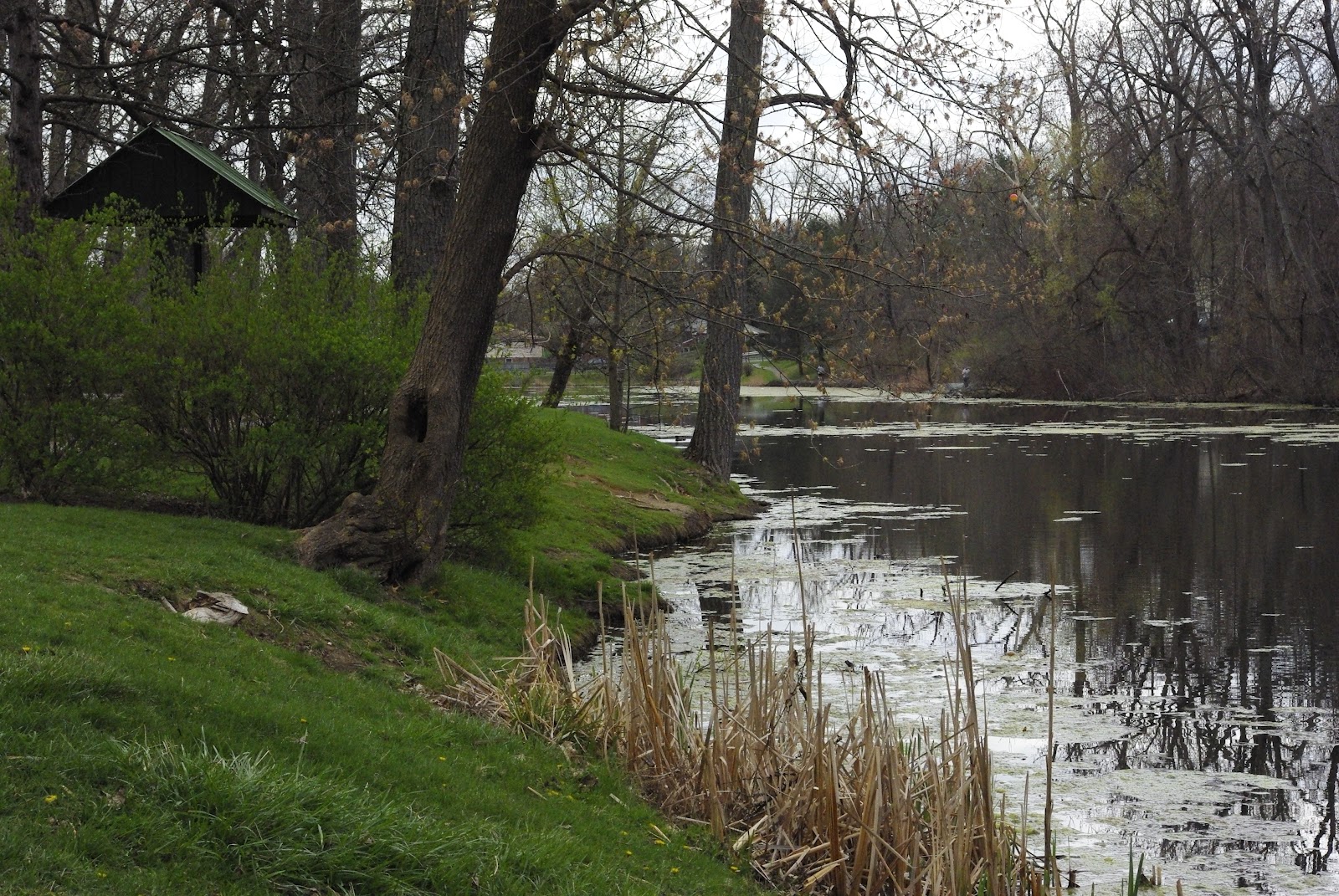 Free Albany Week Thirteen Buckingham Lake, Albany, New York