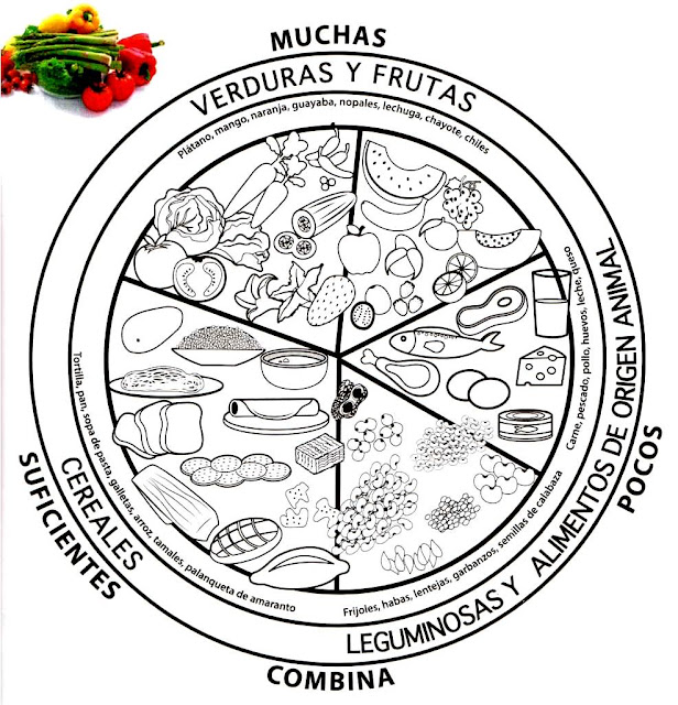 Dibujo del plato del buen comer para imprimir - Imagui Dibujo del plato del buen comer para imprimir - Imagui
