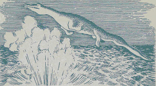 navio_matou_monstro_04.jpg
