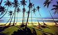 Beache of Sri Lanka