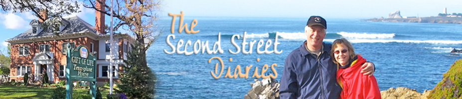 The Second Street Diaries