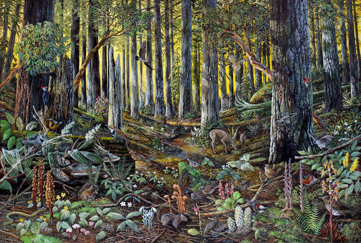 weltanschuuang: Ecosystem Art