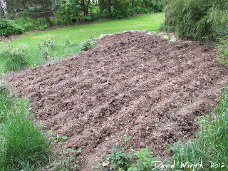 mulch garden, how to grow the best plants, what mulch to use