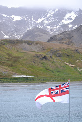 Shackleton's grave