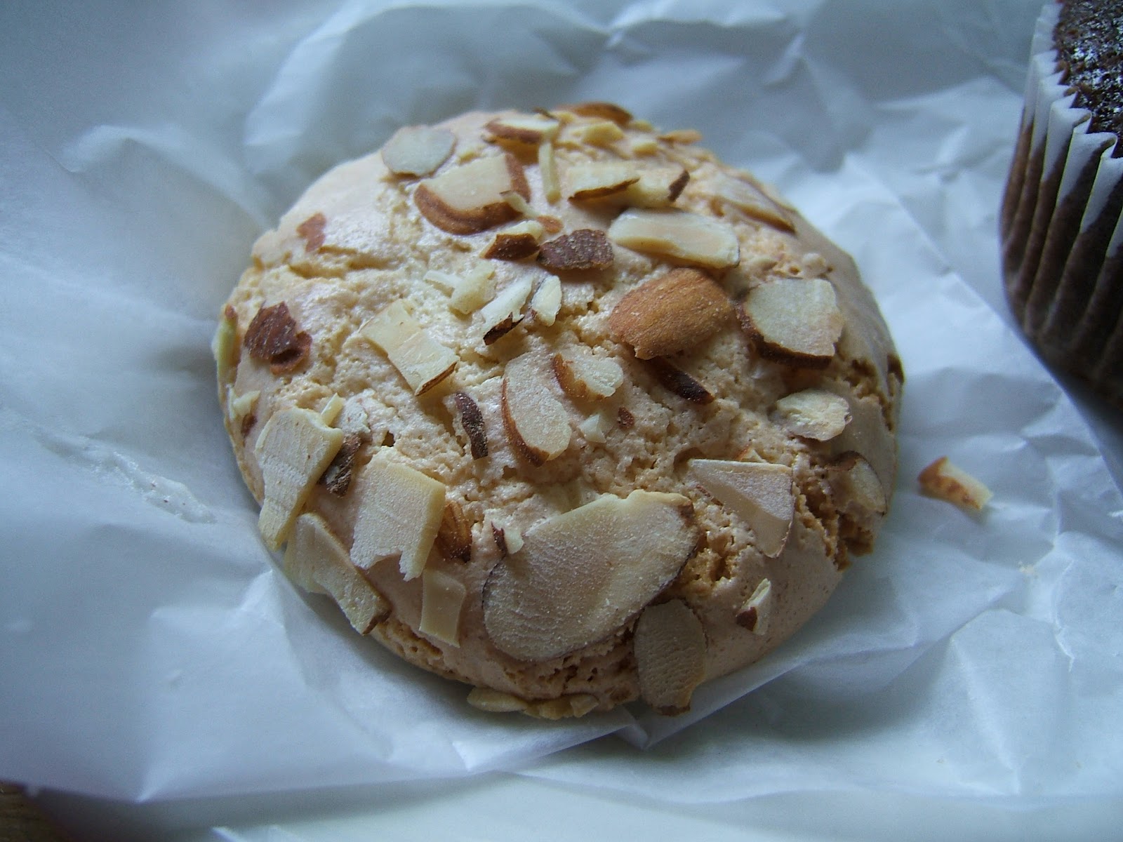 Student Guide to Boston's Cheap Eats Fiore's Bakery Jamaica Plain