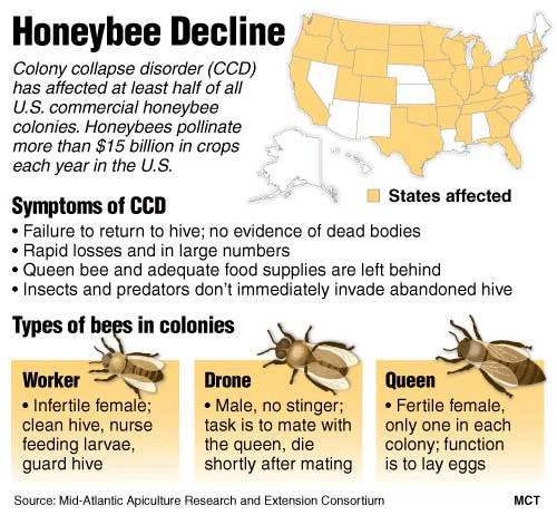 Is china's population decreasing picture