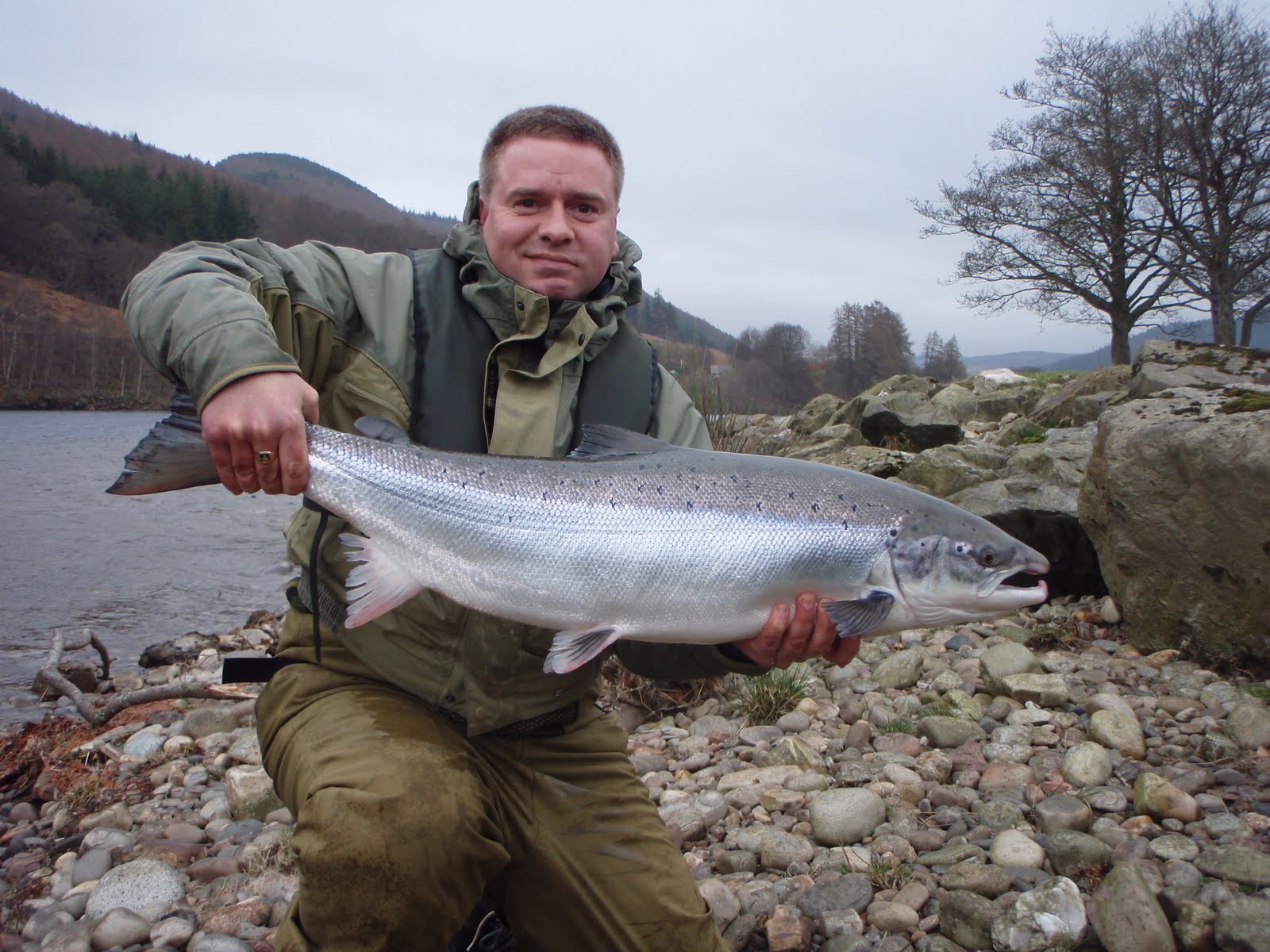 Springer Fish
