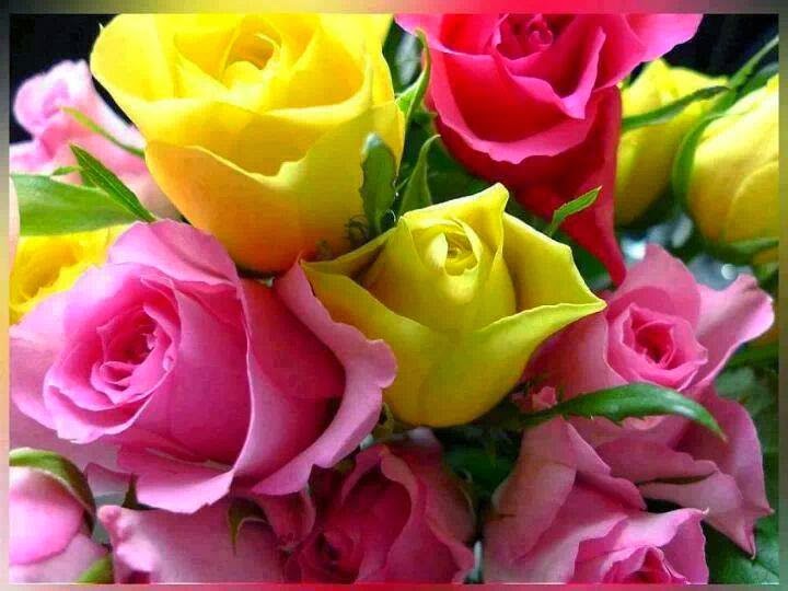 Watch Der Name Der Rose Dailymotion Watch Der Name Der Rose Dailymotion