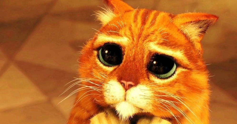sweet puss sweet puss