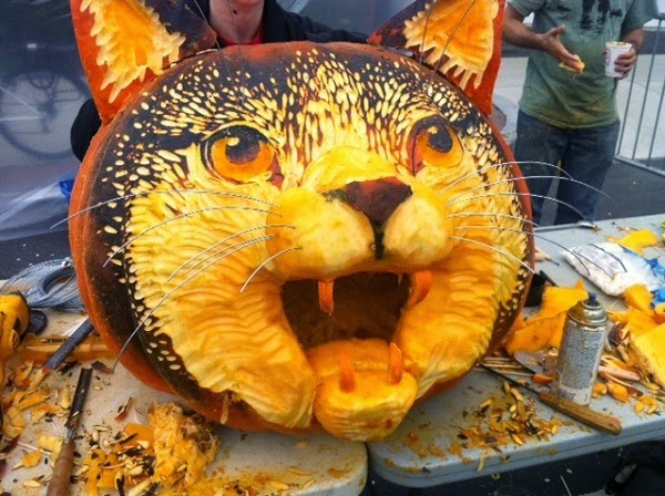 elaborate cat pumpkin