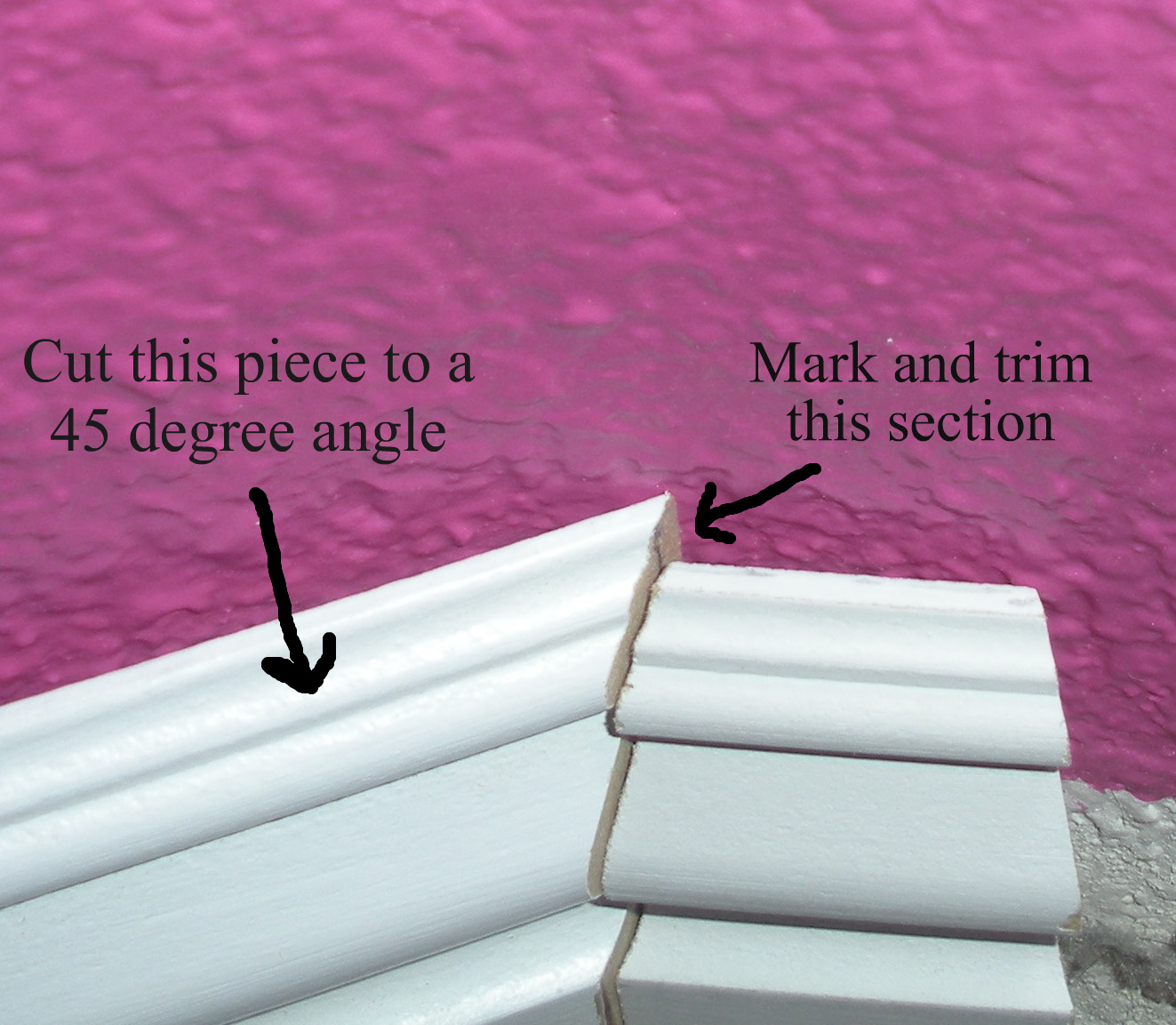 Always a Treasure Inverted Bullnose...?