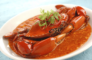 foto kepiting - gambar hewan - foto kepiting