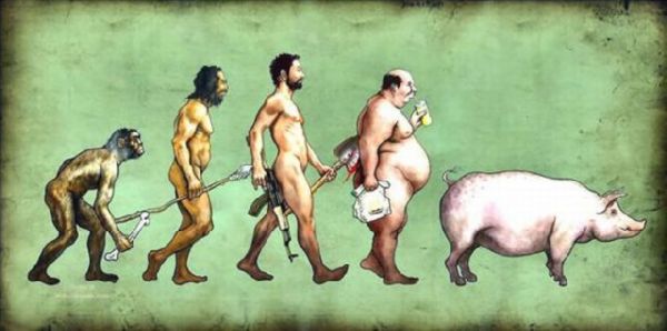 La evolución del hombre  Evolving-evolution+cerdo