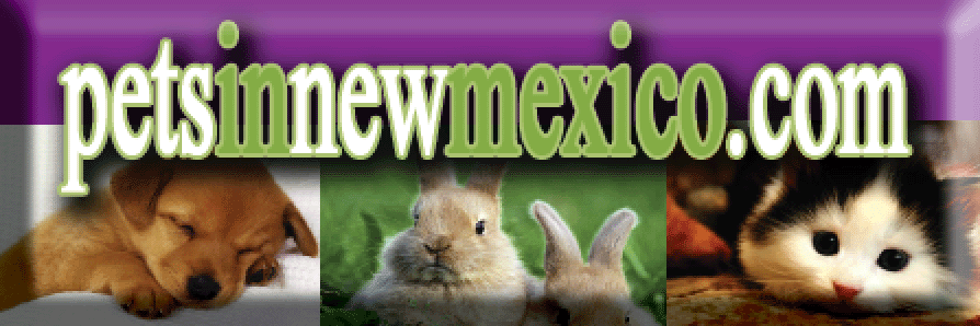 Pets in New Mexico