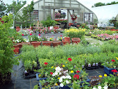 Harvest Home Greenhouse