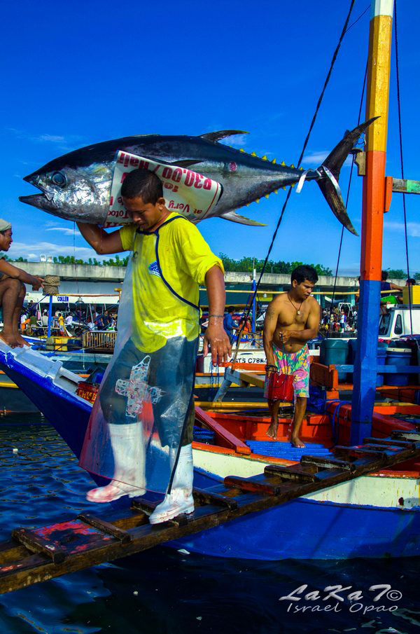 Gensan, Tuna Pride of the Philippines >>> Lakat