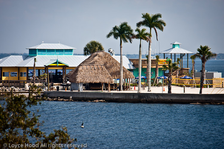 Photo of the Day Tarpon Pointe Grill & Tiki Bar