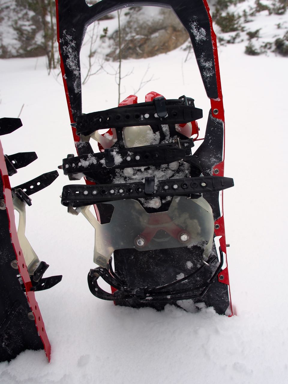 robonza Review MSR Revo Ascent Snowshoes
