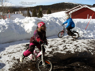 2012 vårtecken Cykel